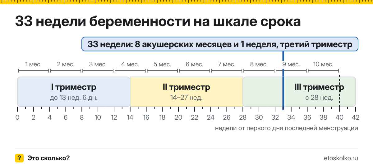 33 недели беременности это сколько месяцев и какой триместр