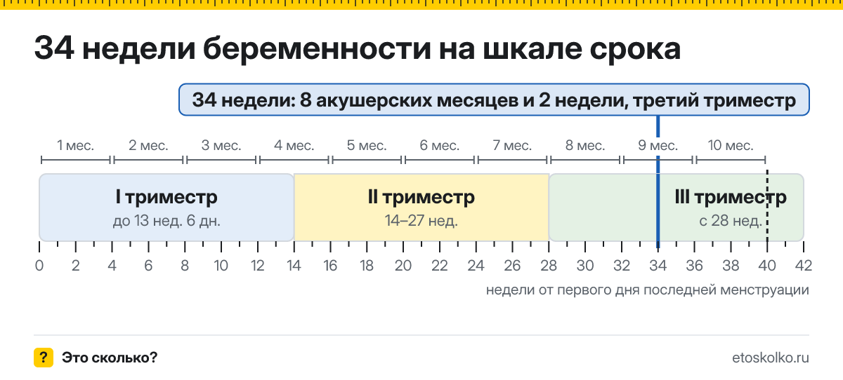 34 недели беременности это сколько месяцев и какой триместр