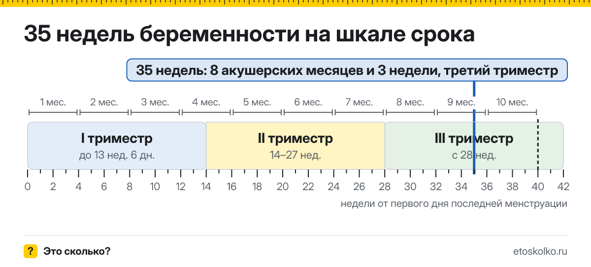 35 недель беременности это сколько месяцев и какой триместр