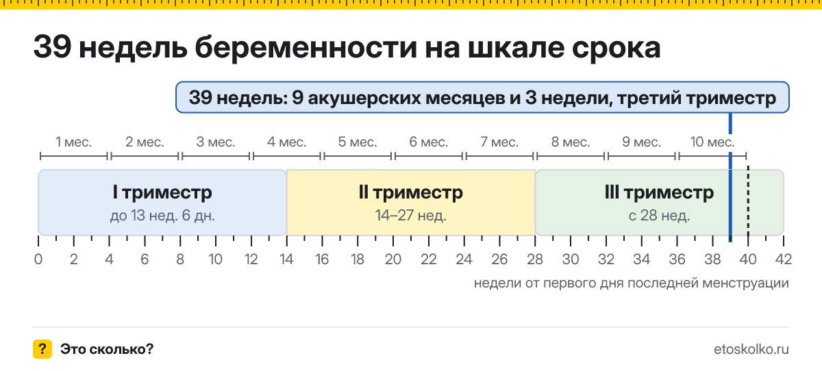 39 недель беременности это сколько месяцев и какой триместр