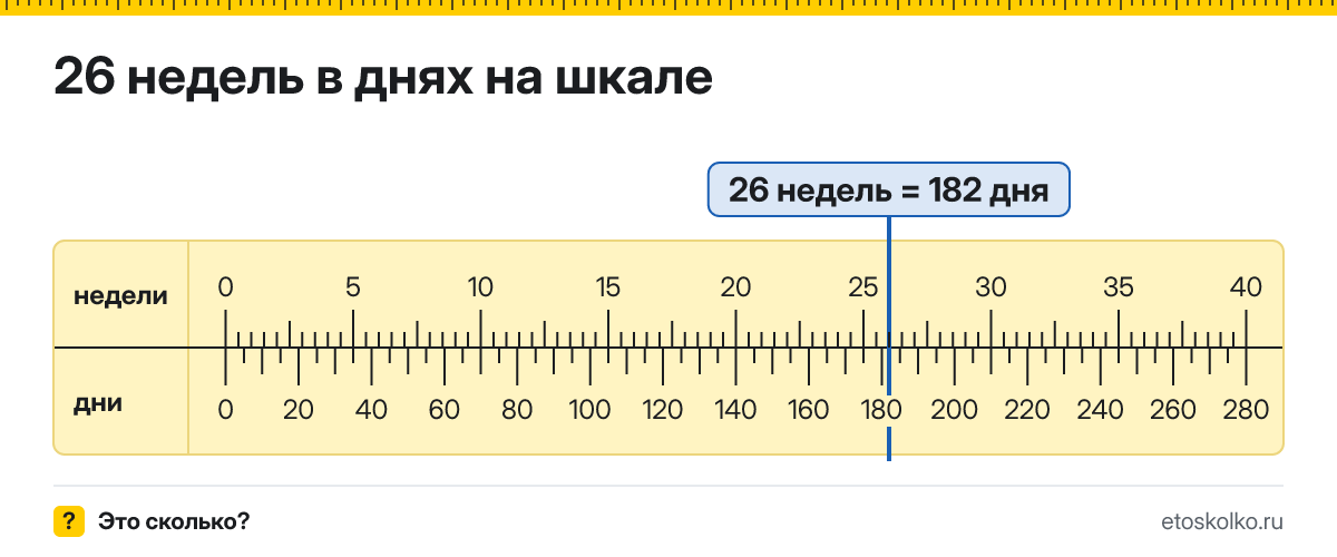 26 недель это сколько дней и как посчитать