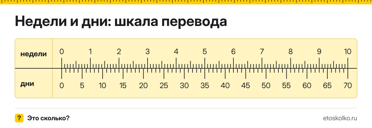 Неделя это сколько дней и как перевести недели в дни